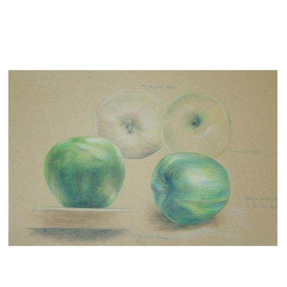 Äpfel, Zeichnung, Farbstift, 420x297mm